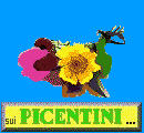Tanti bei fiori dei M.ti Picentini